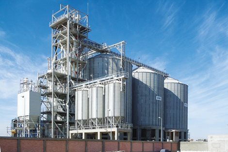 Egipto: 30 000 toneladas de trigo