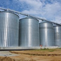 Alemaina: 19 000 toneladas de trigo