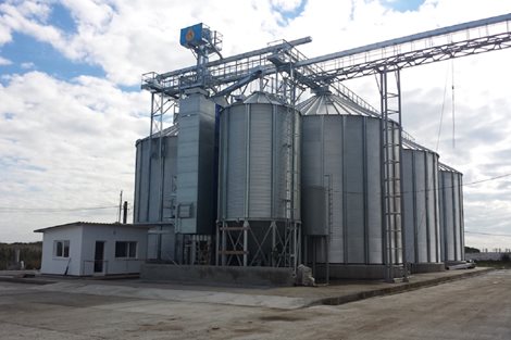 Alemania: 5 000 toneladas de trigo