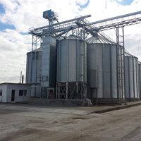 Alemania: 5 000 toneladas de trigo