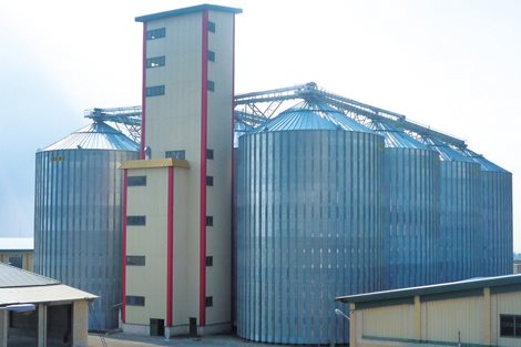 Irán: 62 000 tonladas de trigo