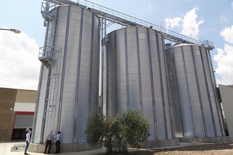 Italia: 2 000 toneladas de trigo