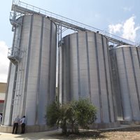 Italia: 2 000 toneladas de trigo