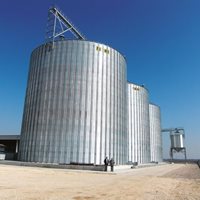 Italia: 21 000 toneladas de maíz