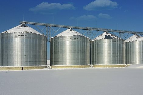 Rusia: 31 000 toneladas de trigo