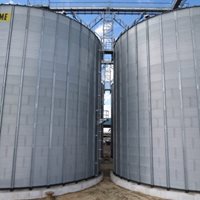 Tanzania: 16 000 toneladas de trigo