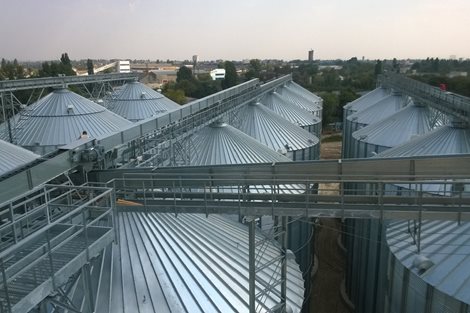 Ucrania: 48 300 toneladas de trigo