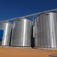 Zambia: 20 400 toneladas de trigo