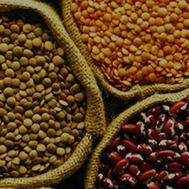 Soluciones para la molienda de legumbres